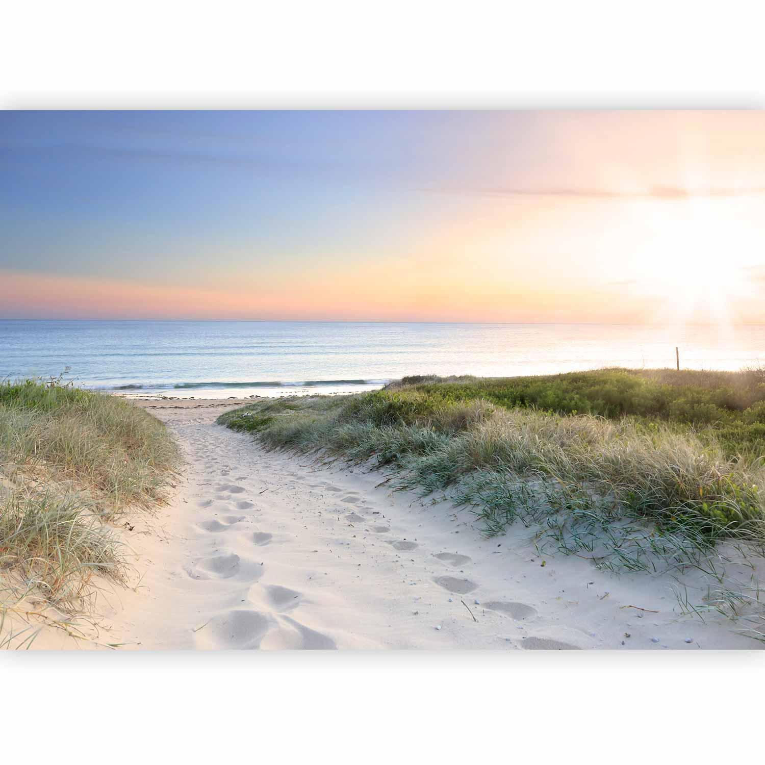 Papier peint - Morning walk on the beach