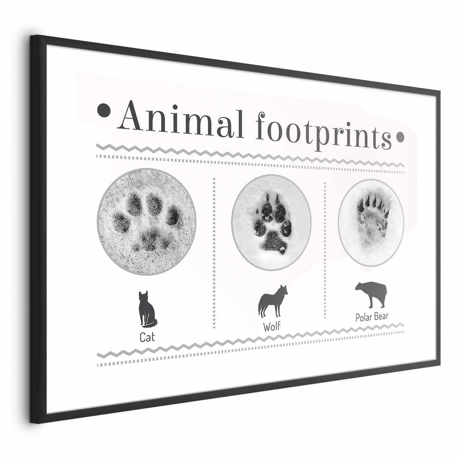 Poster - Paw Prints