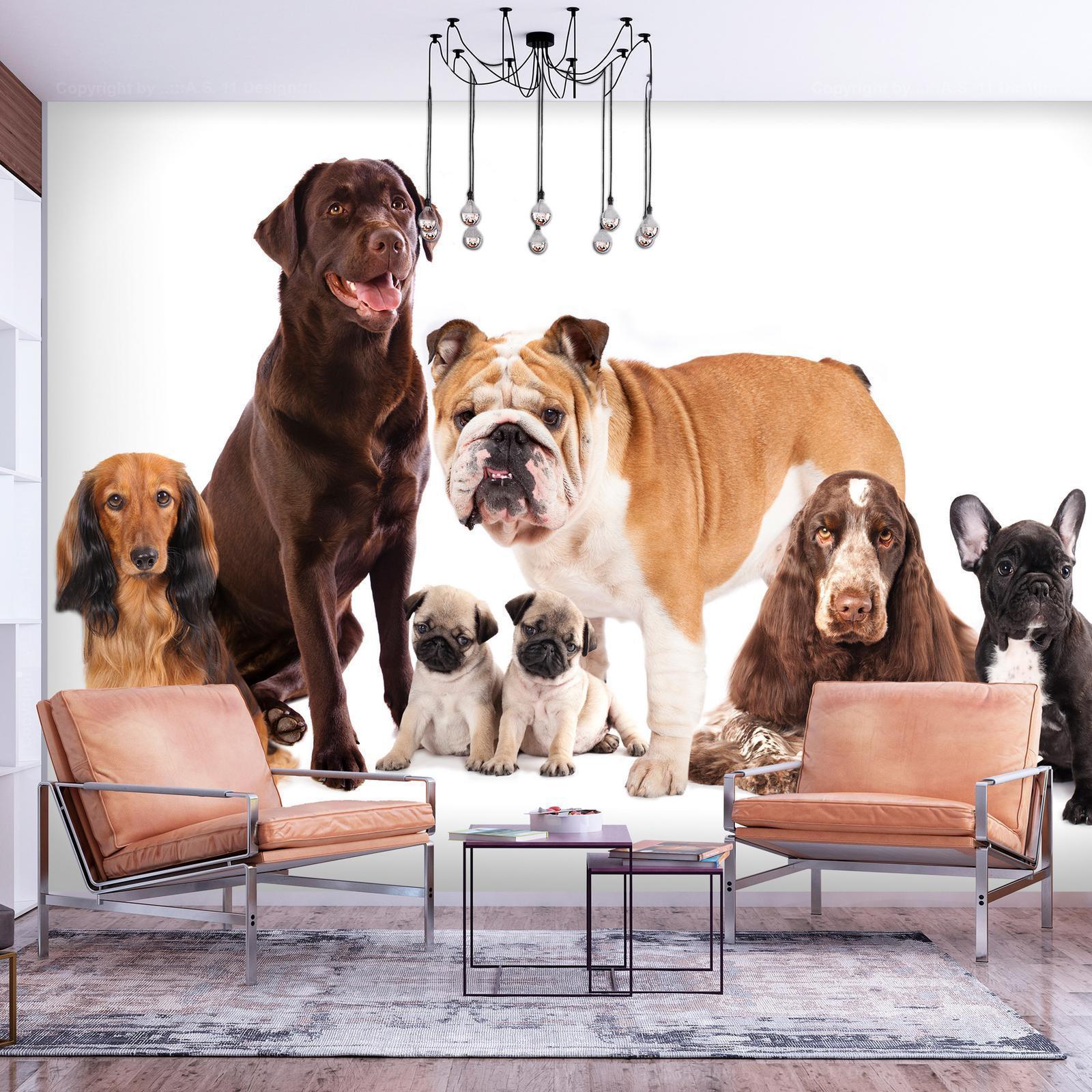 Papier peint - Animal portrait - dogs with a brown labrador in the centre on a white background