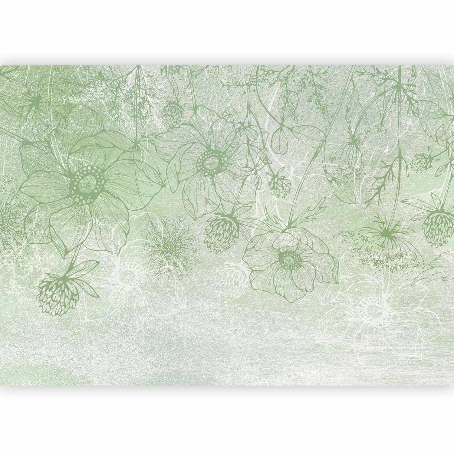 Papier peint - Flowery meadow - nature with field flowers lineart on green background