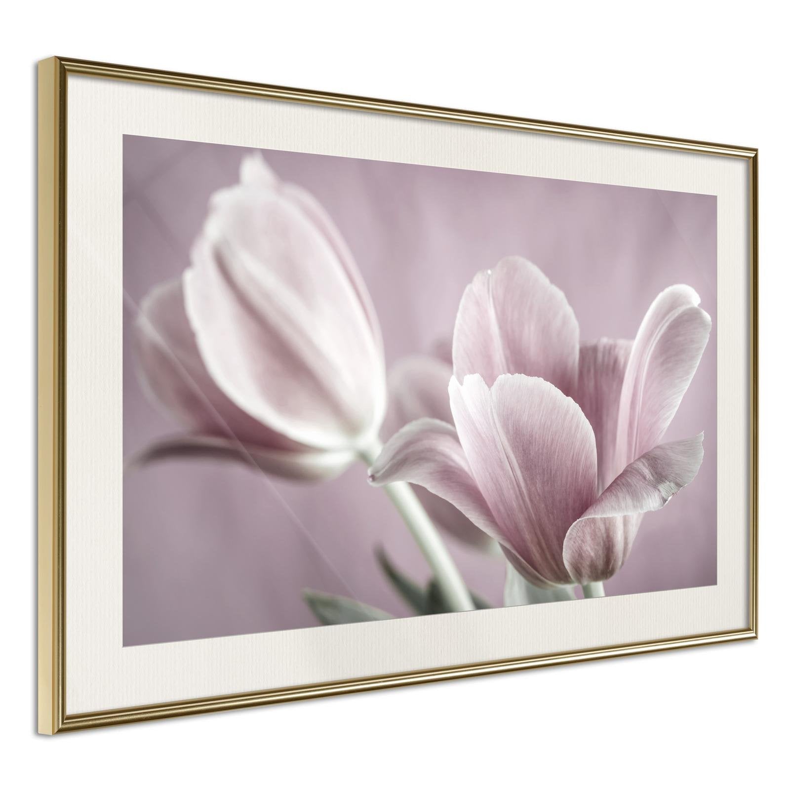 Affiche Tulipes Pastel