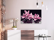 Peinture par numéros - Pink Orchid (Black Background)