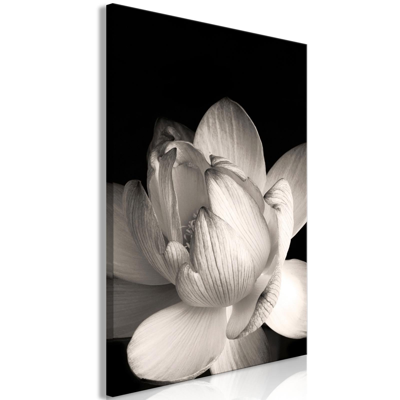 Tableau - Delicacy of Petals in Nature (1-part) - Flower in Black and White