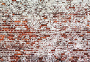 Papier peint - Her Highness The Brick