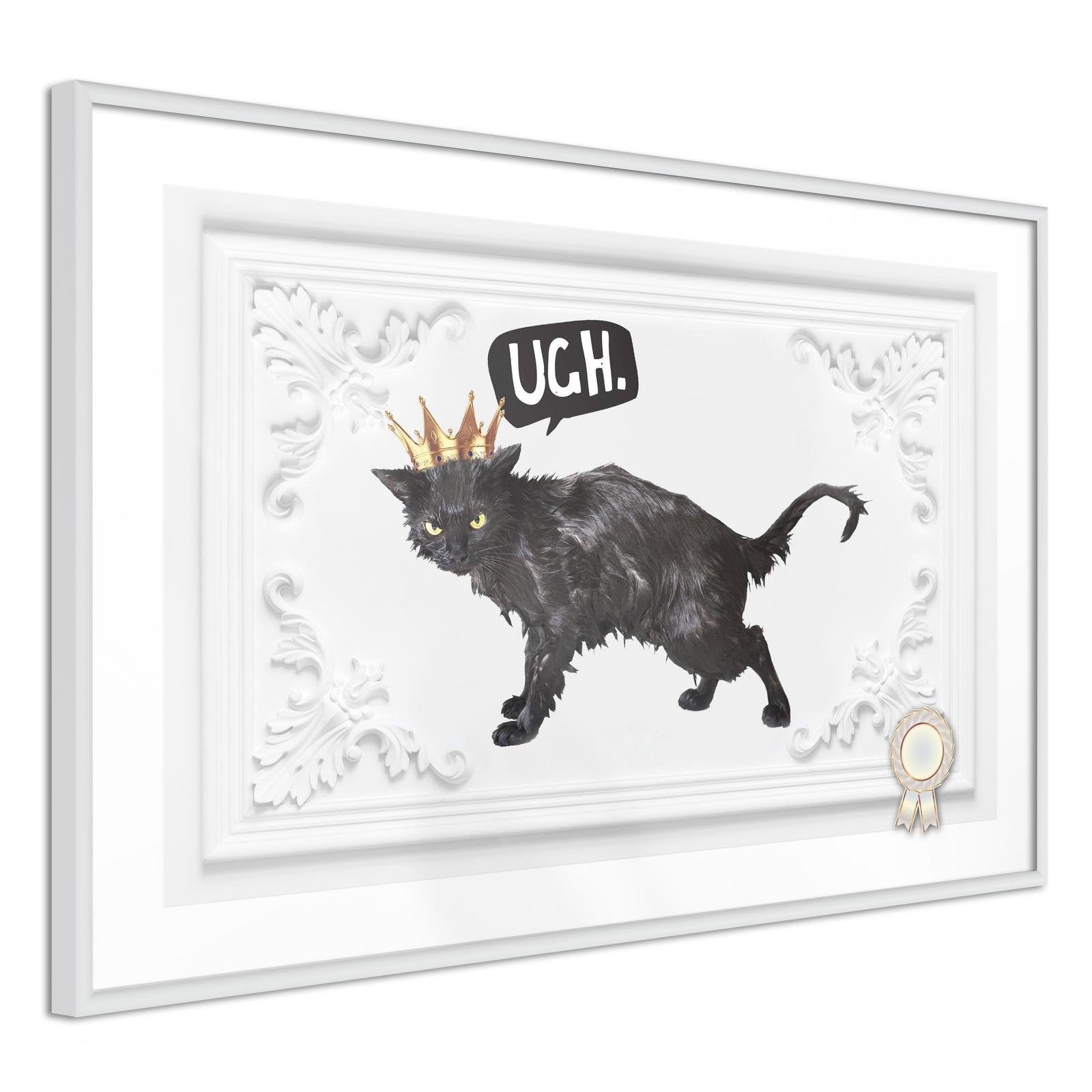 Affiche chat noir