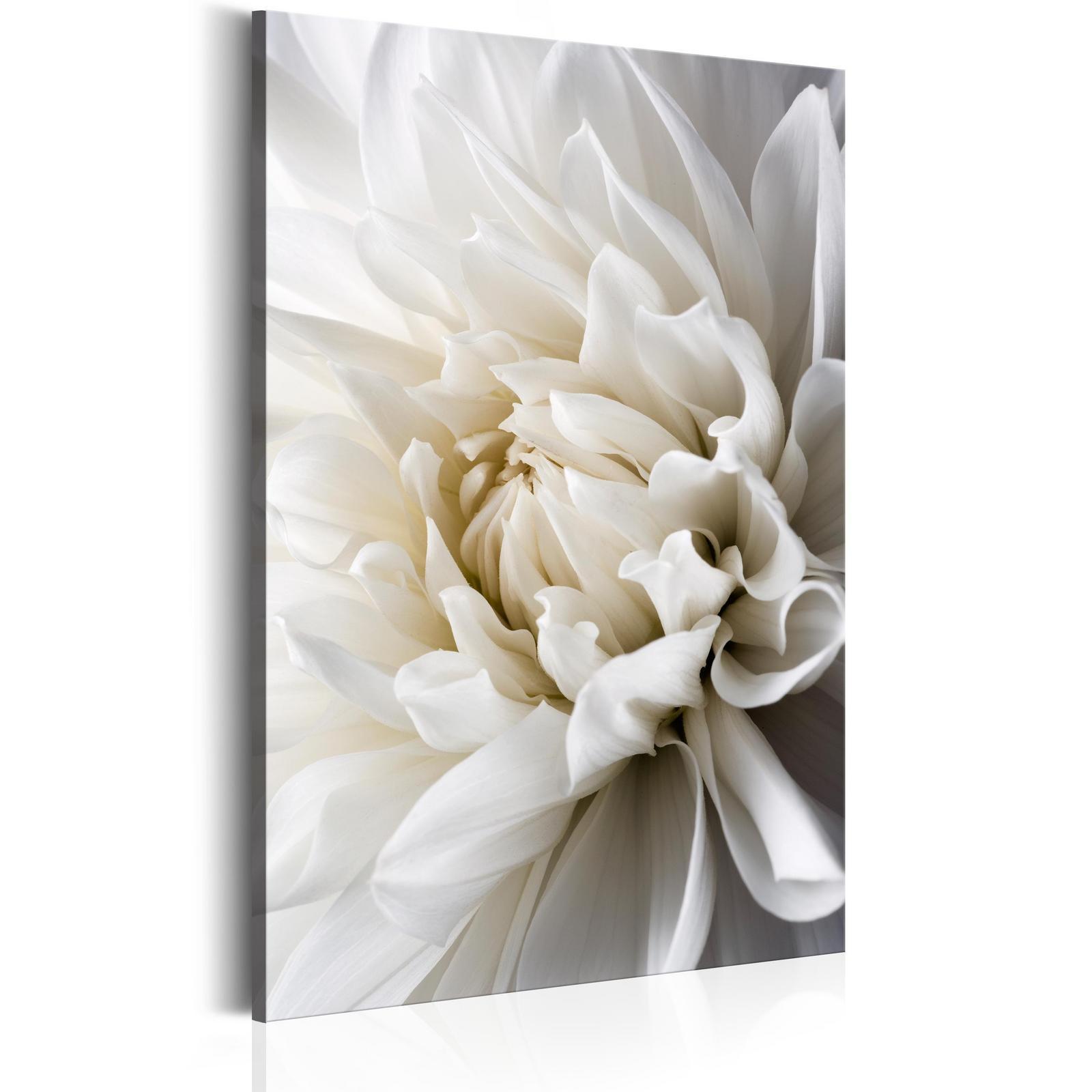 Tableau - White Dahlia