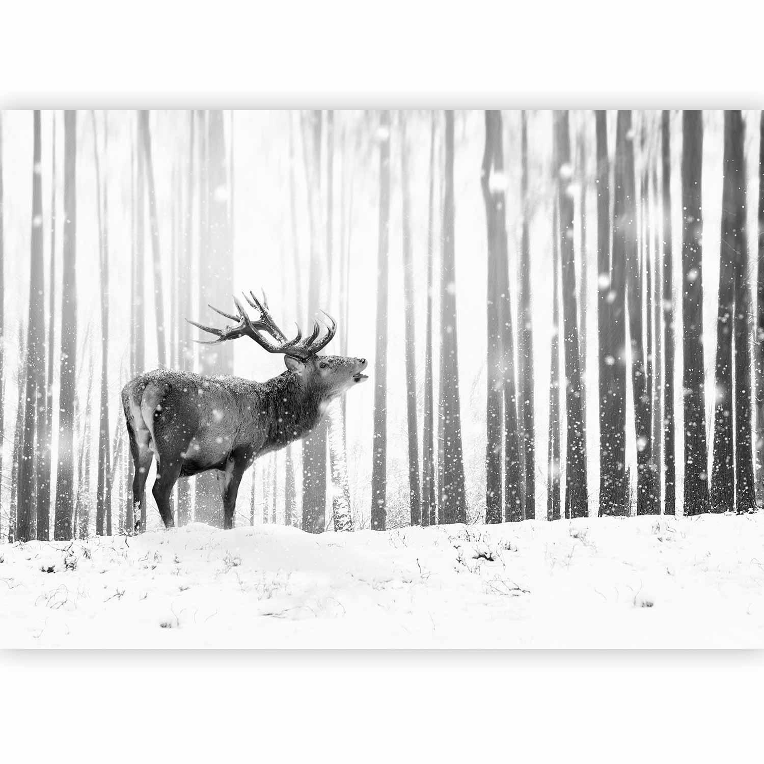 Papier peint - Deer in the Snow (Black and White)