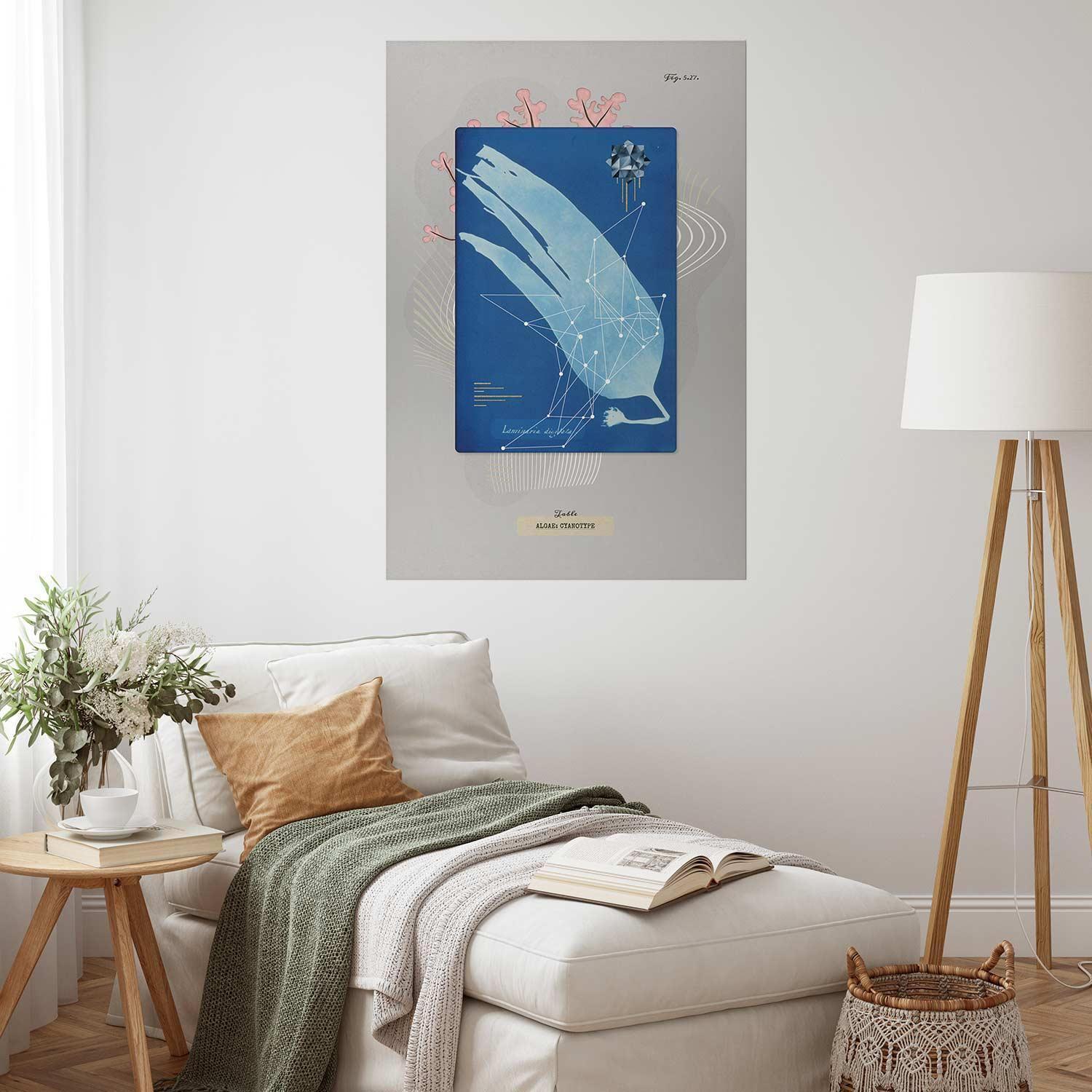 Poster - Algae