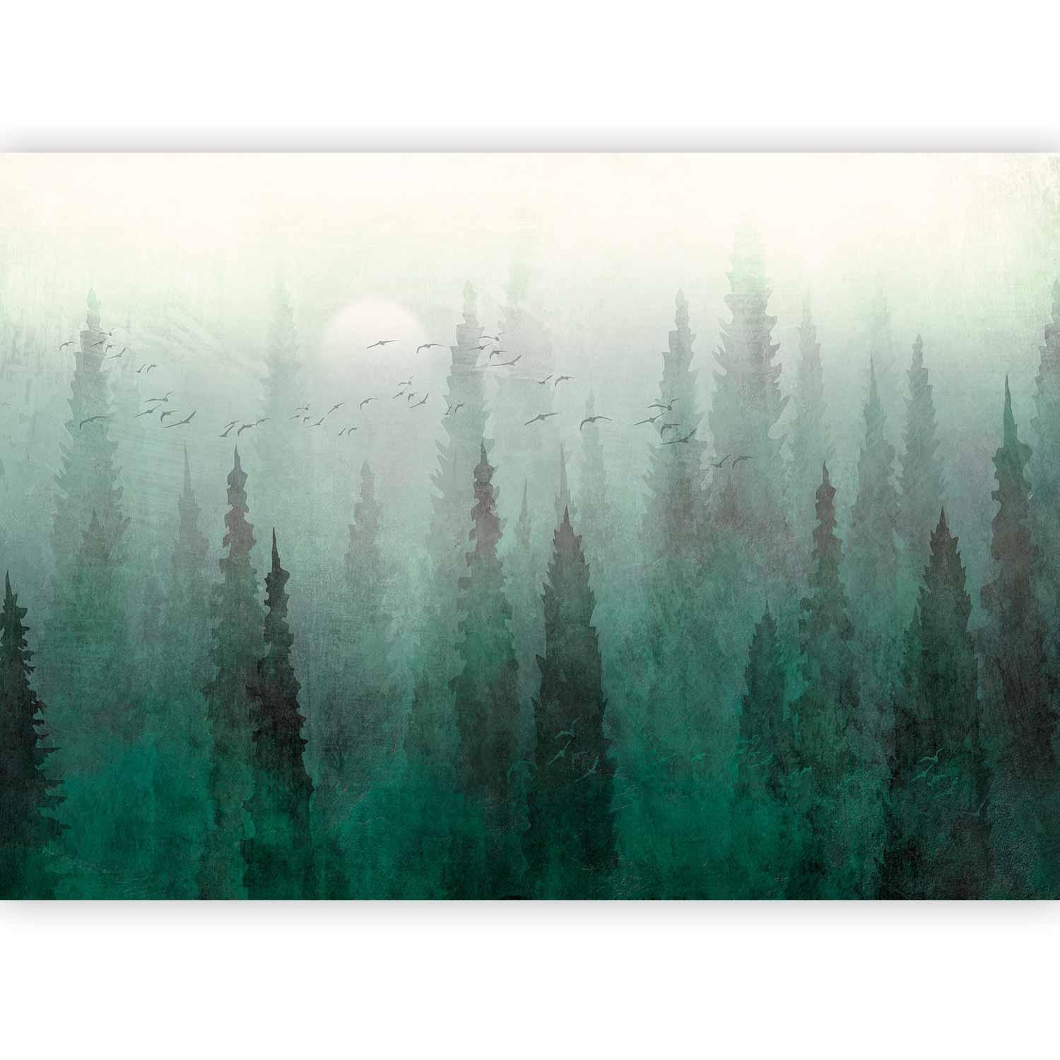 Papier peint - Bird's eye perspective - landscape of a green forest with trees in the mist