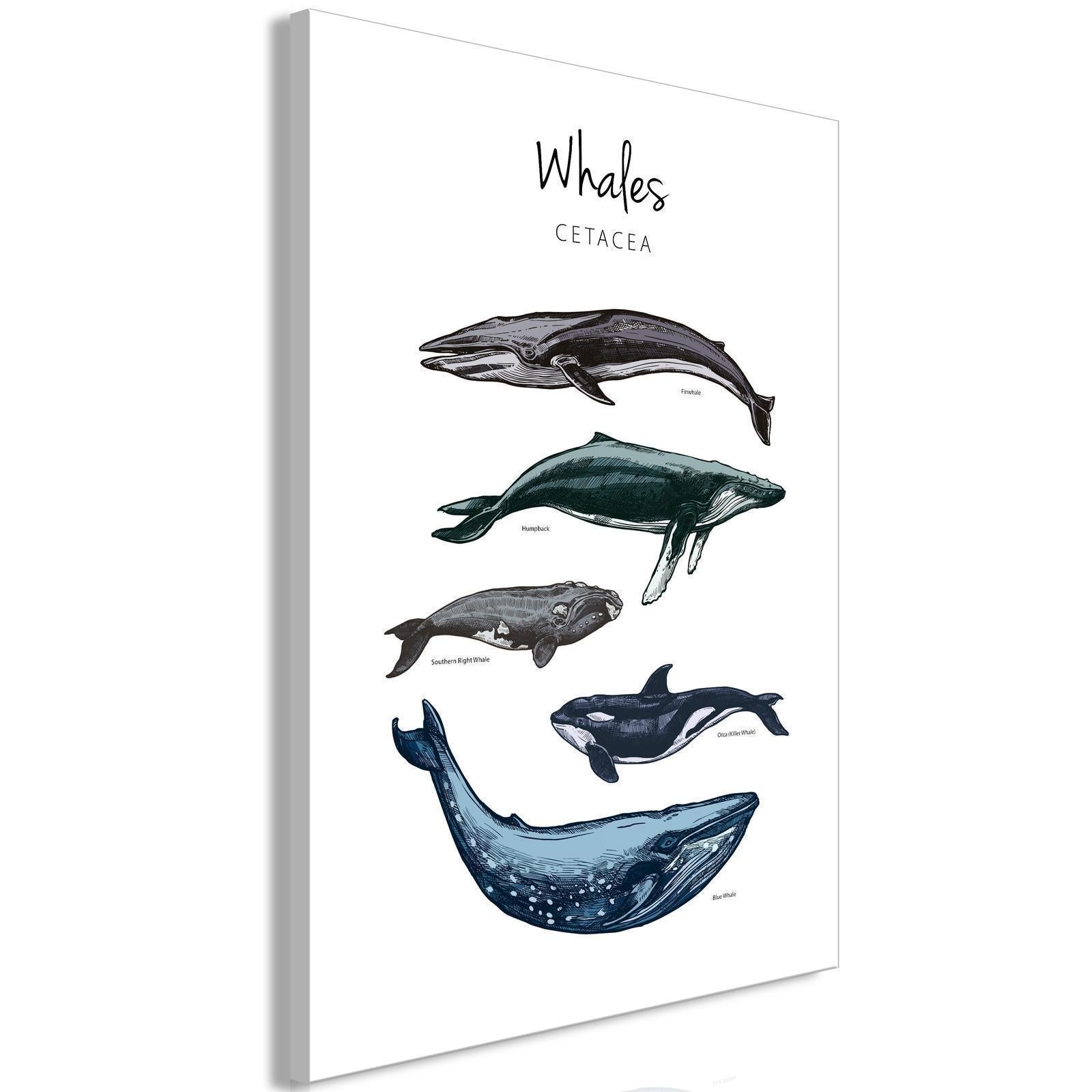 Tableau - Whales (1 Part) Vertical