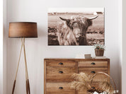 Tableau - A Scottish Cow in Sepia