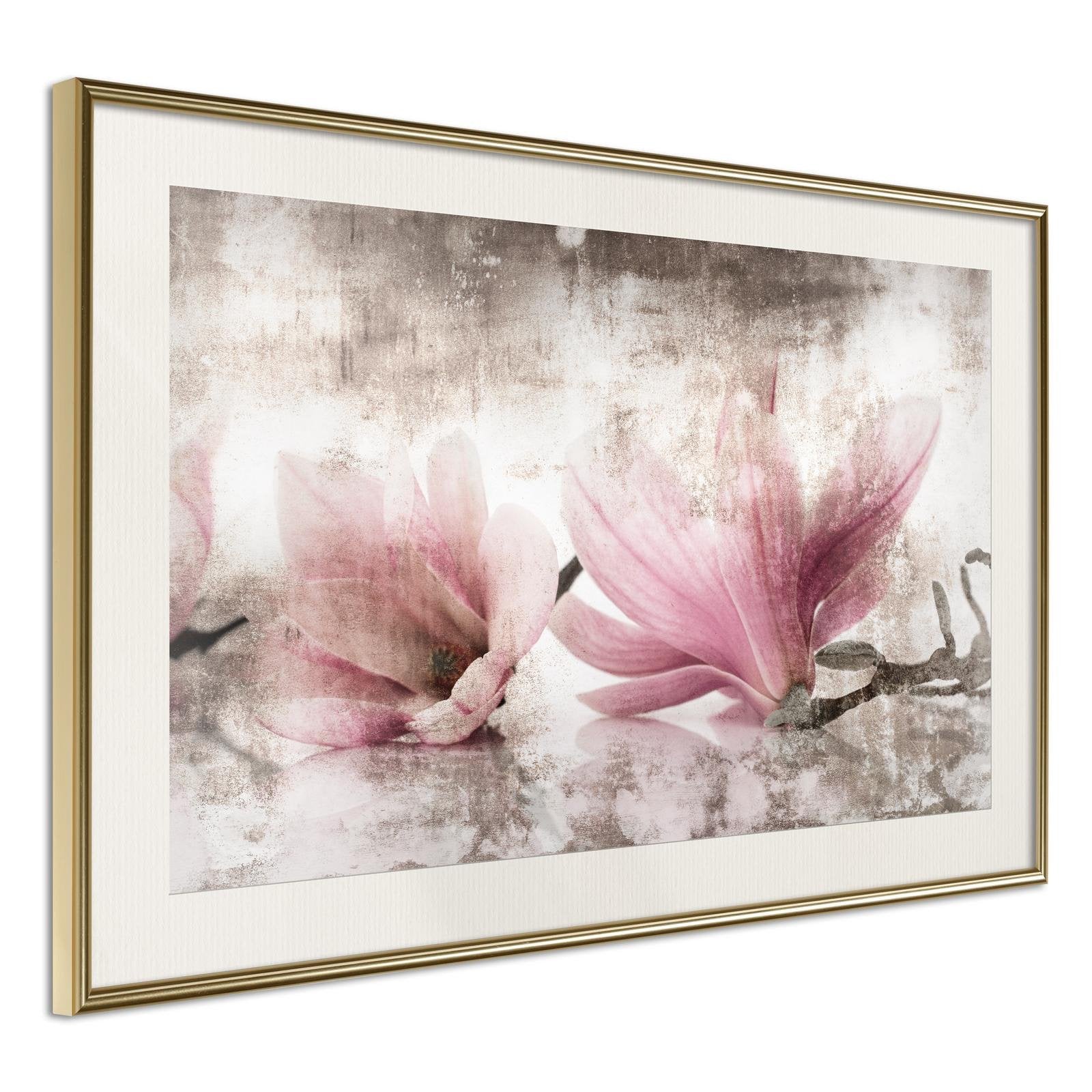 Affiche Magnolias