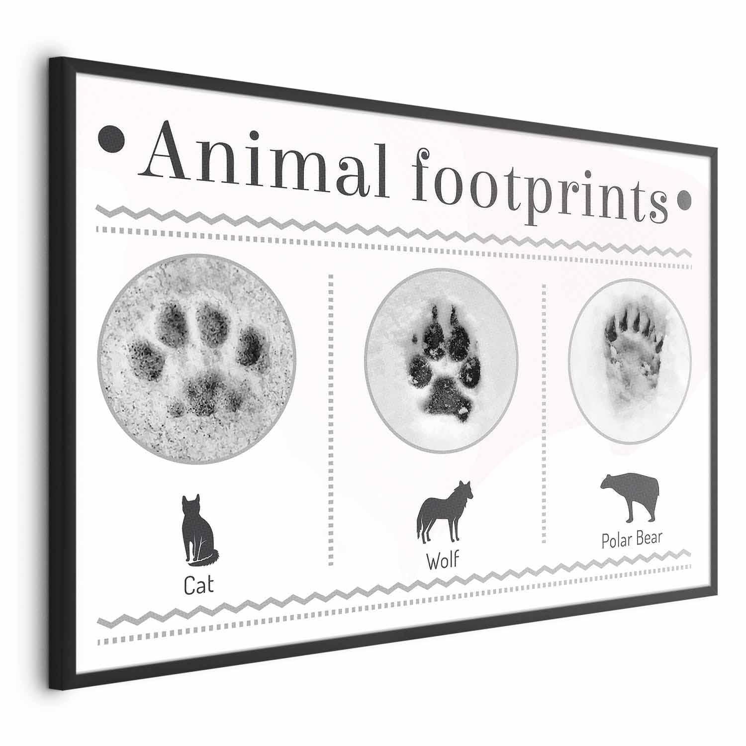 Poster - Paw Prints