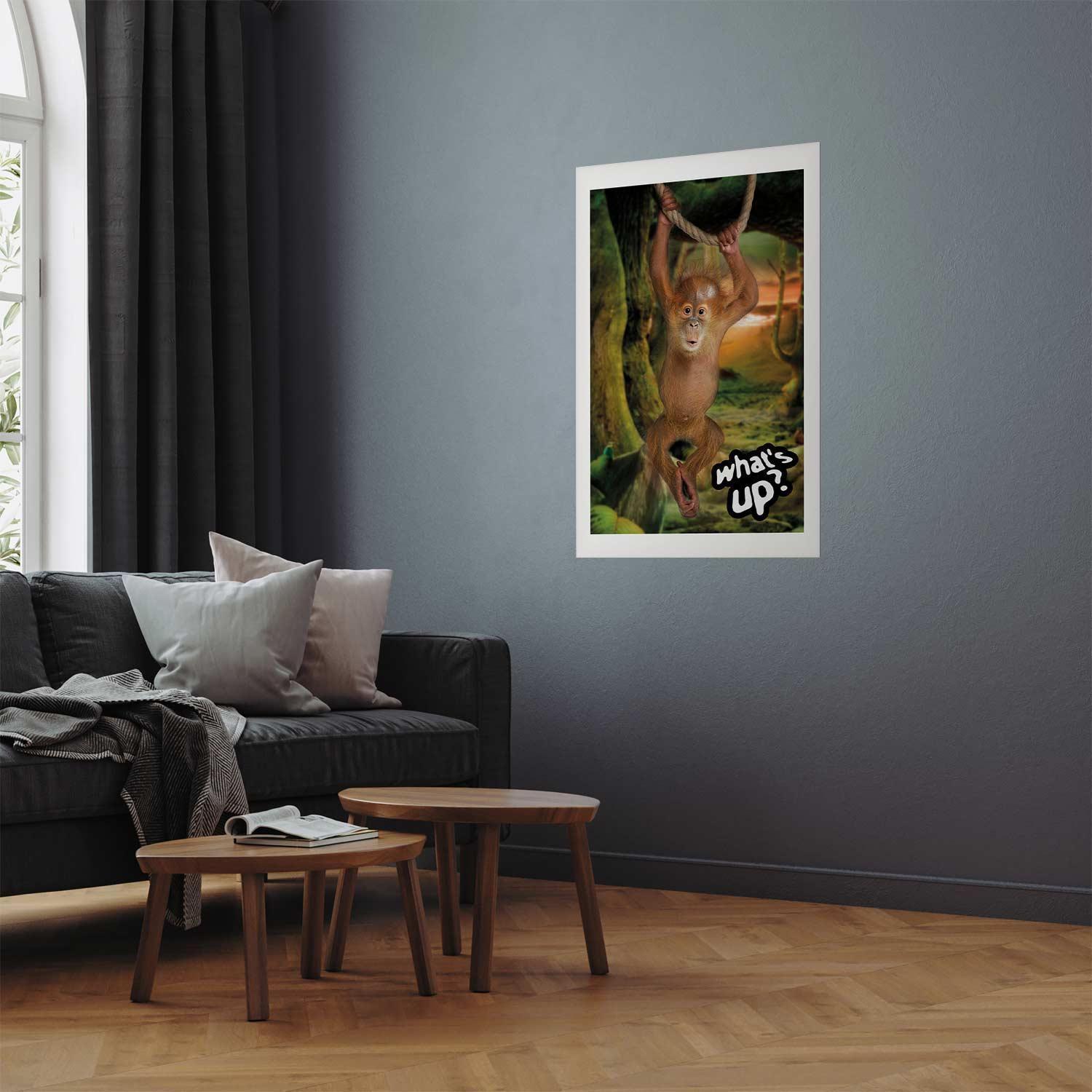 Poster - What's Up?