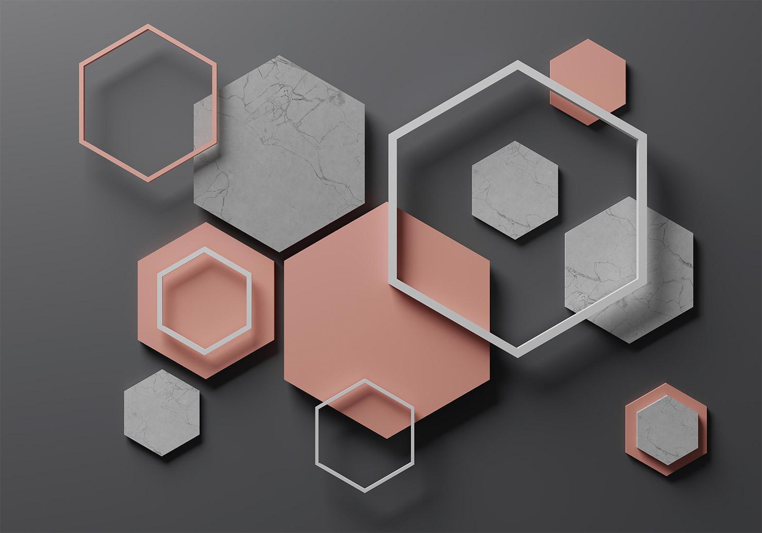 Papier peint - Hexagon Plan