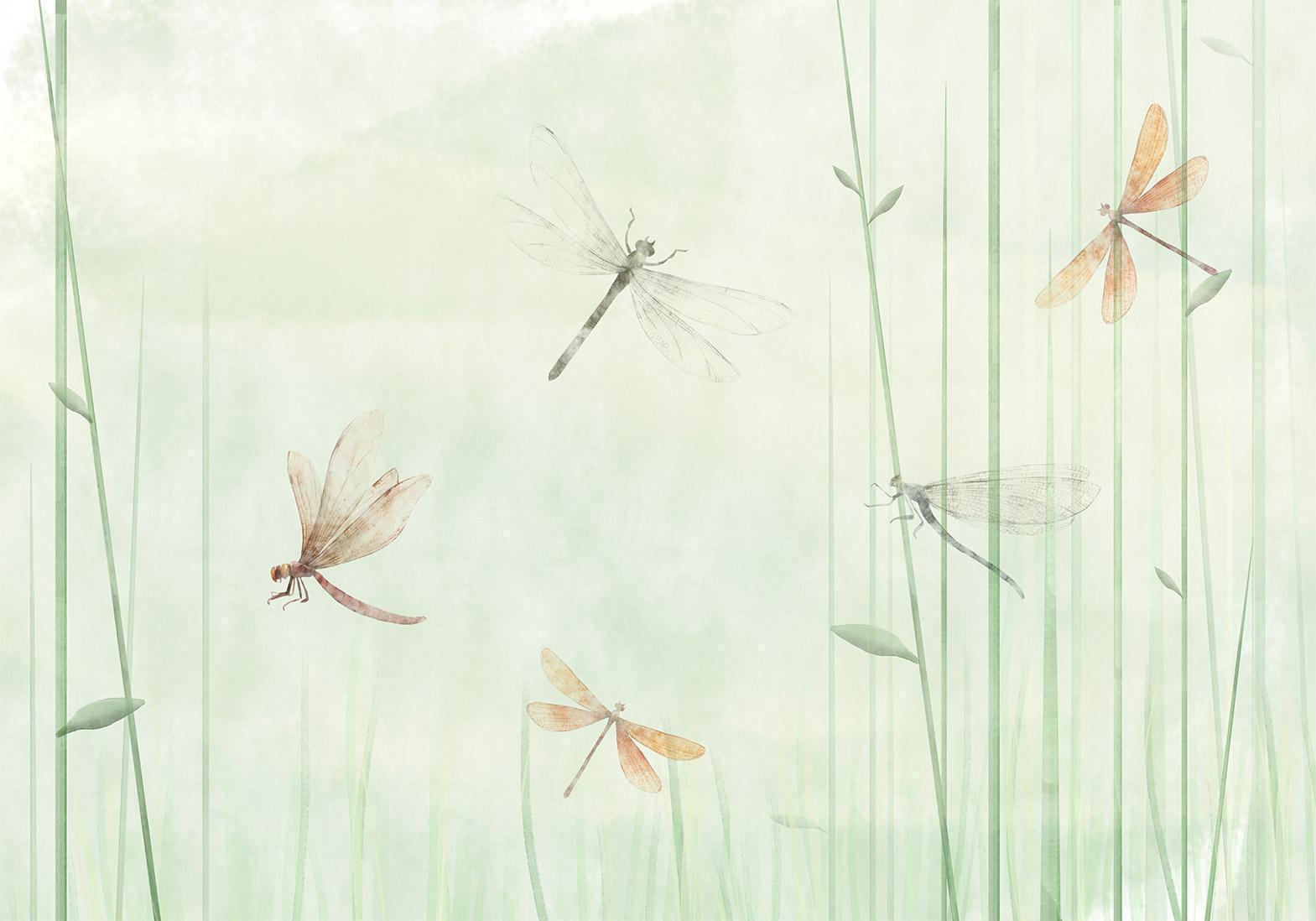Papier peint - Dragonflies in the Meadow