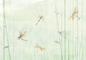 Papier peint - Dragonflies in the Meadow