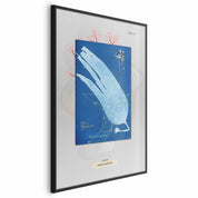 Poster - Algae