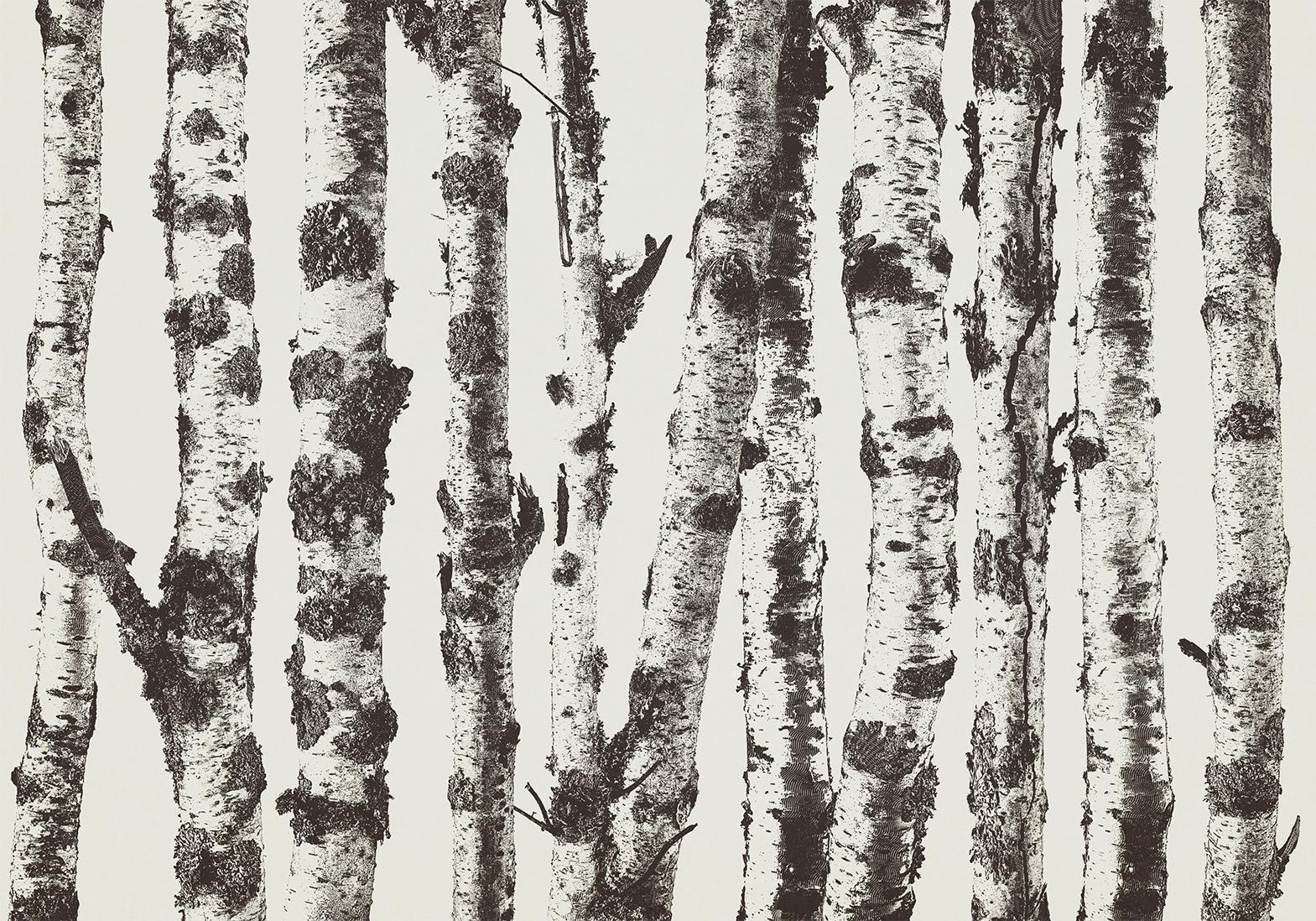 Papier peint - Stately Birches - First Variant