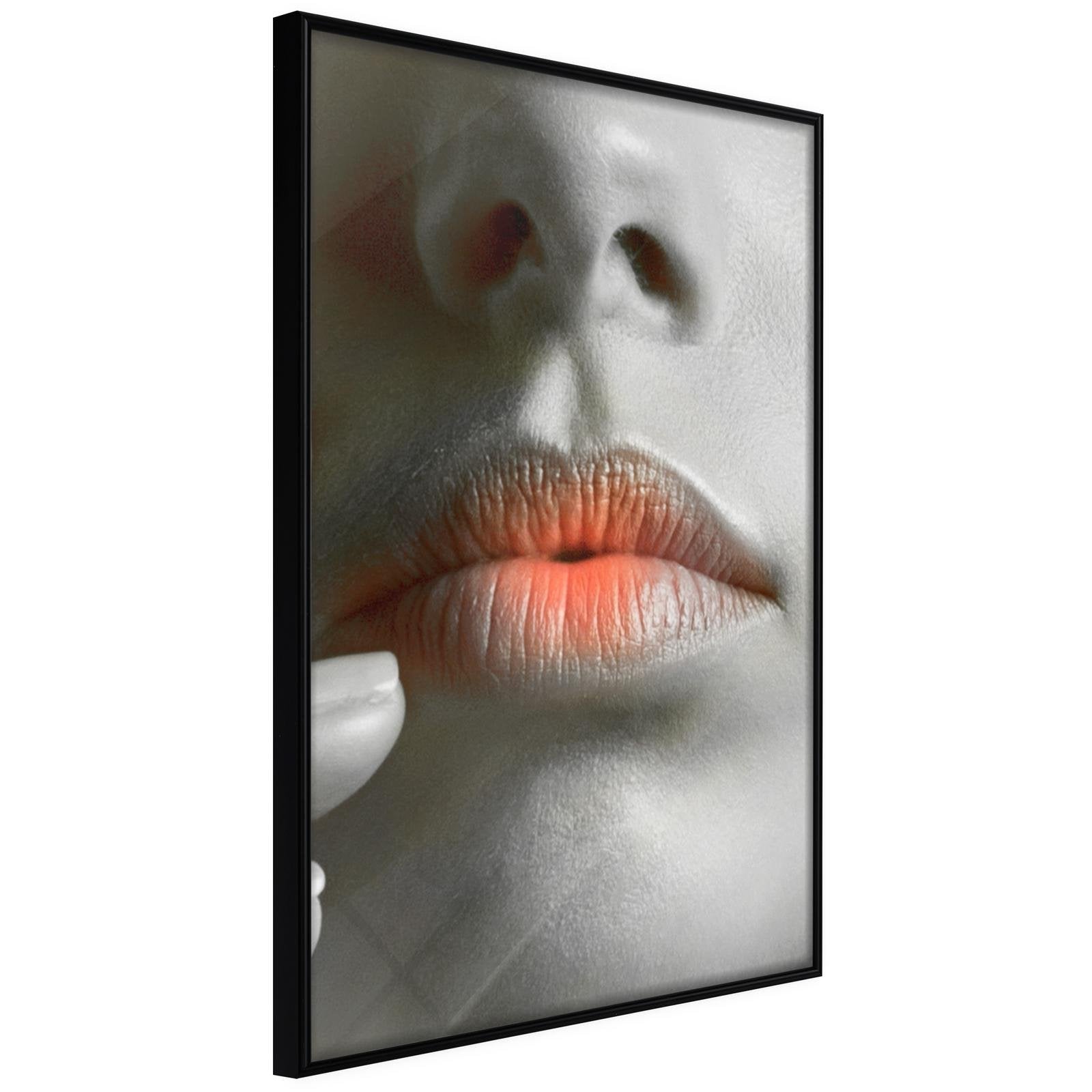 Poster Lèvres Ombrées