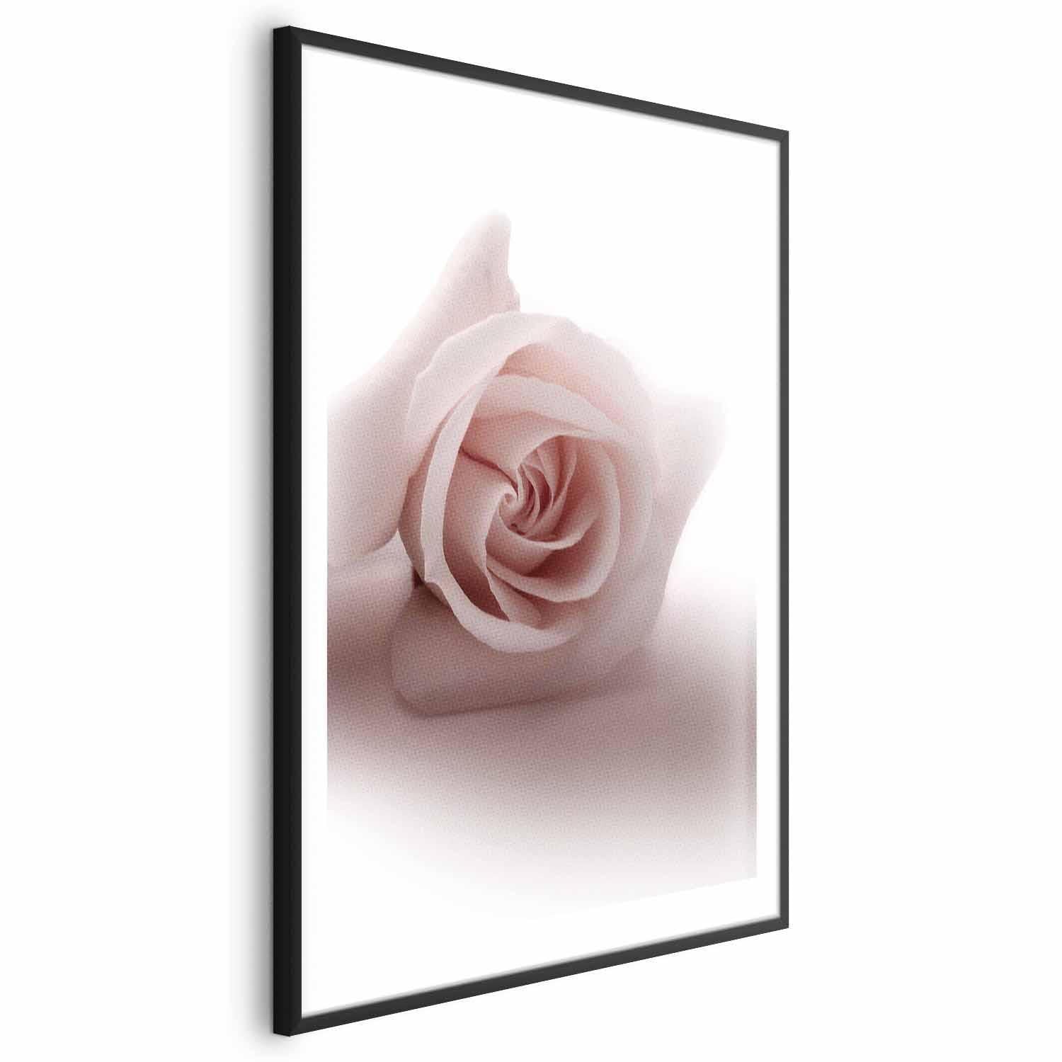 Poster - Rose Shadow