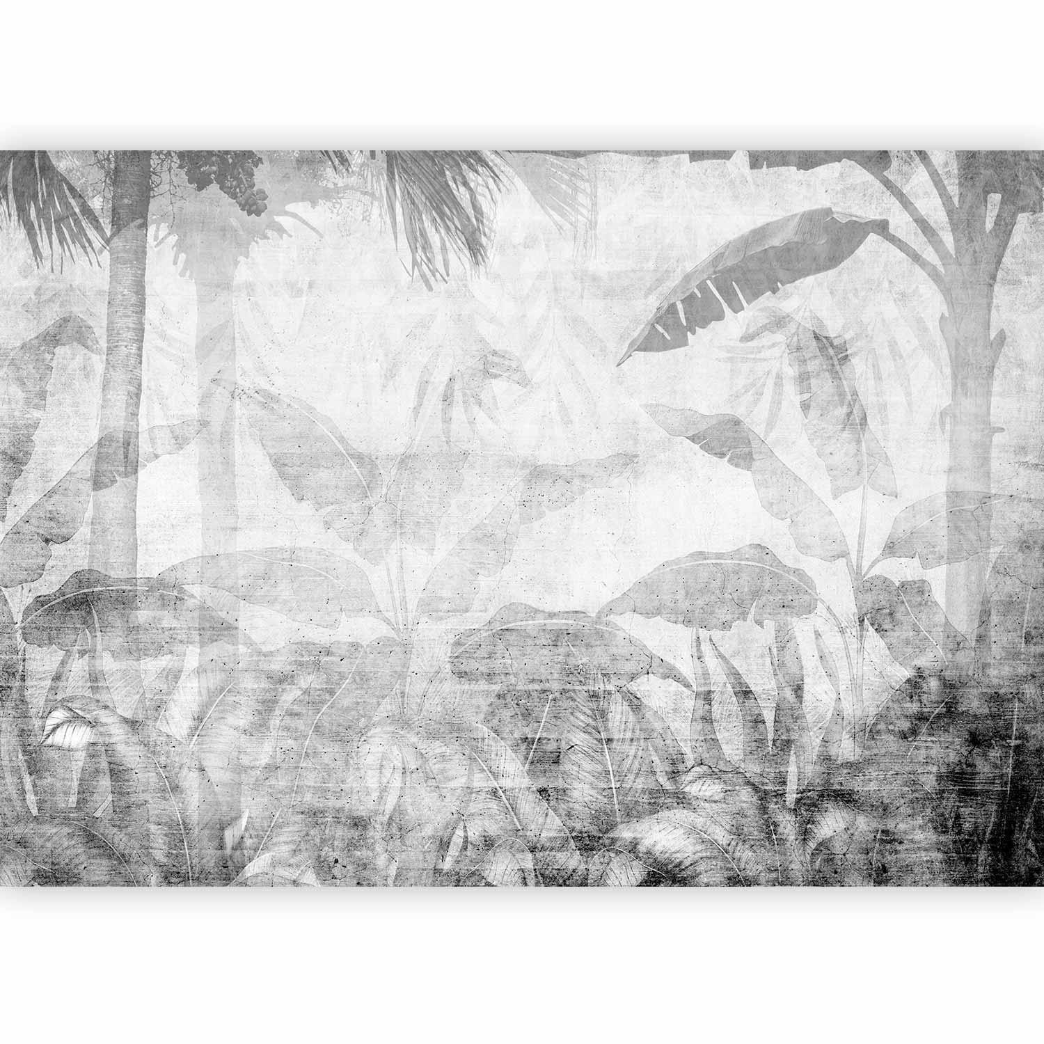 Papier peint - Vanishing jungle - landscape of exotic trees and leaves in grey tones