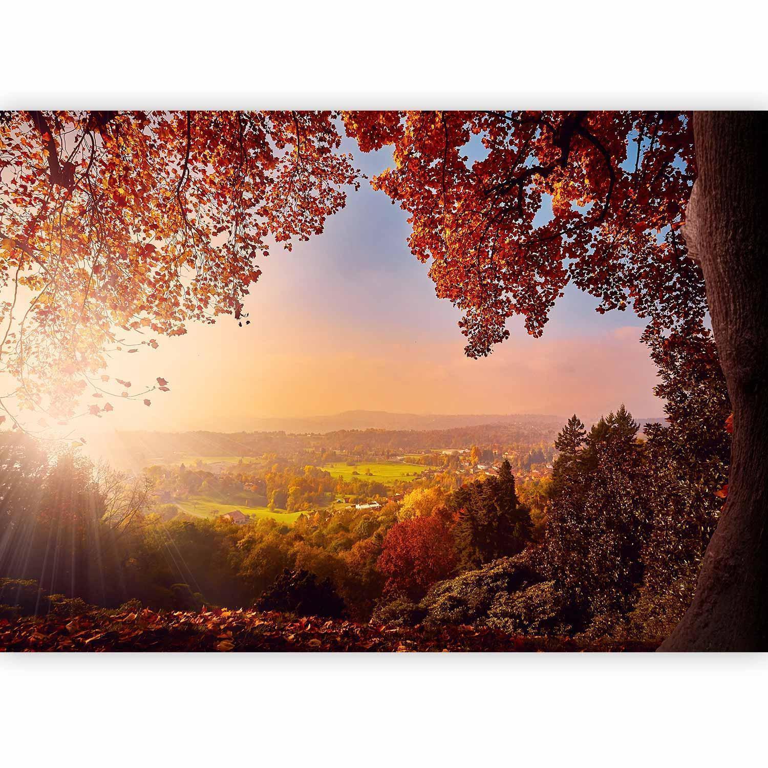 Papier peint - Autumn delight - sunny landscape with countryside surrounded by trees and fields