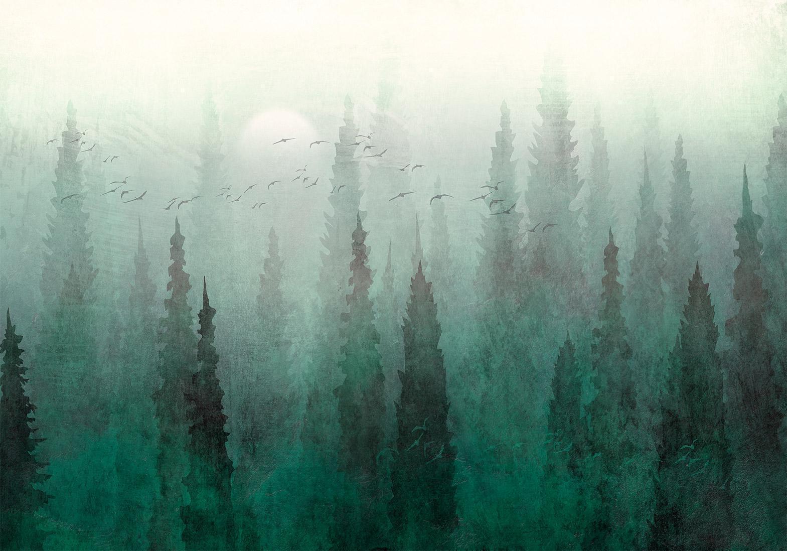 Papier peint - Bird's eye perspective - landscape of a green forest with trees in the mist