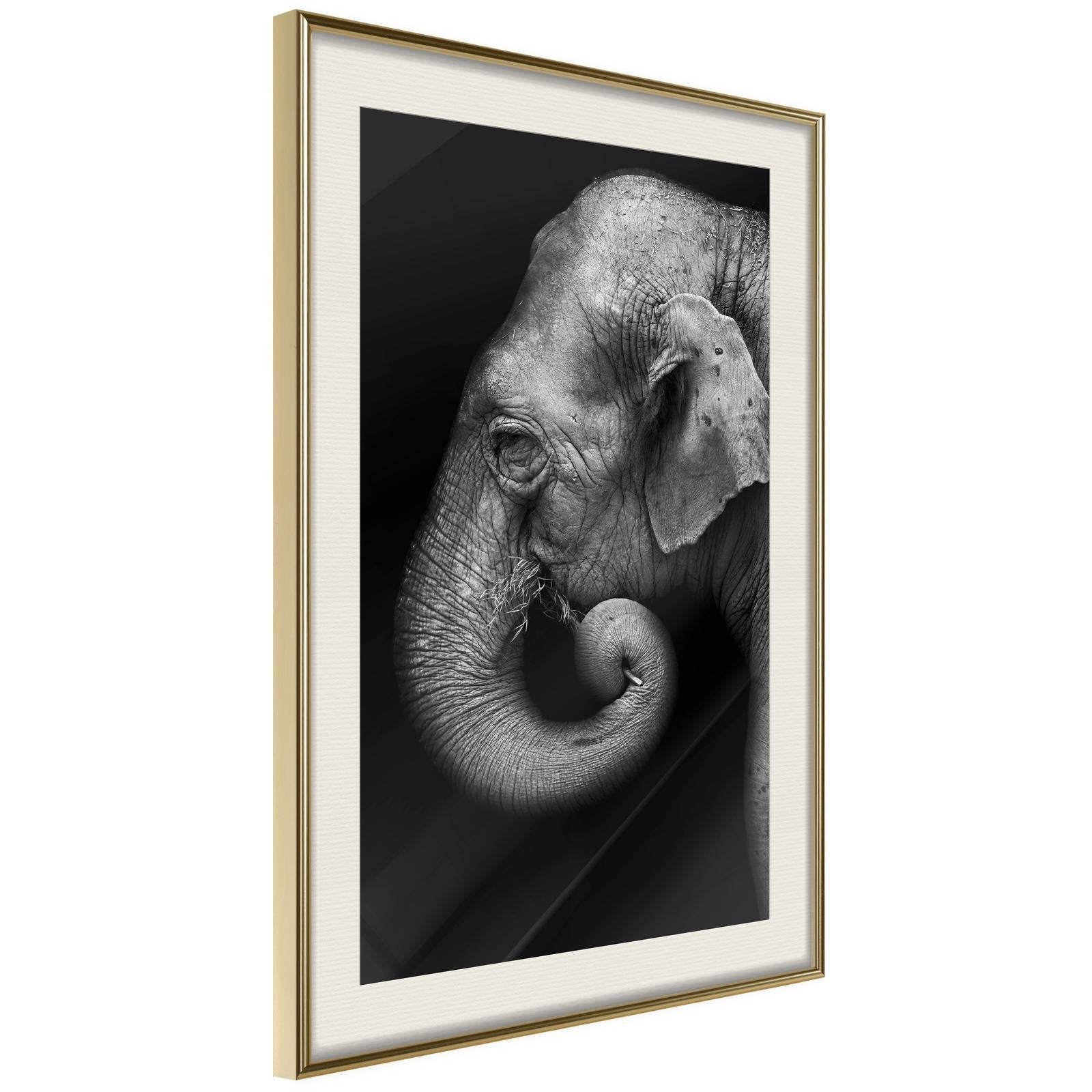 Poster éléphant noir et blanc