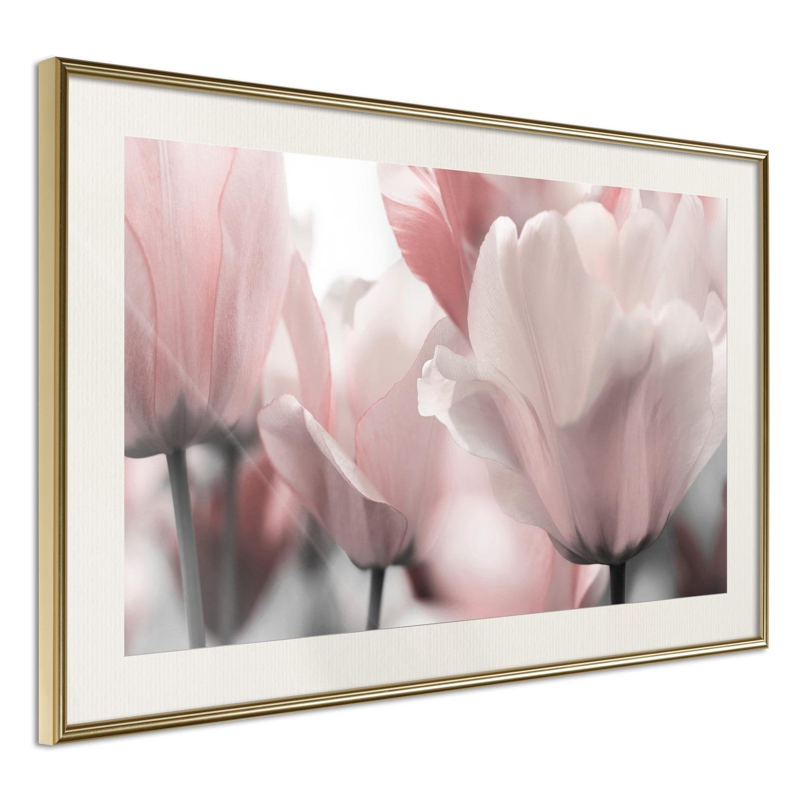 Affiche Tulipes Pastel II