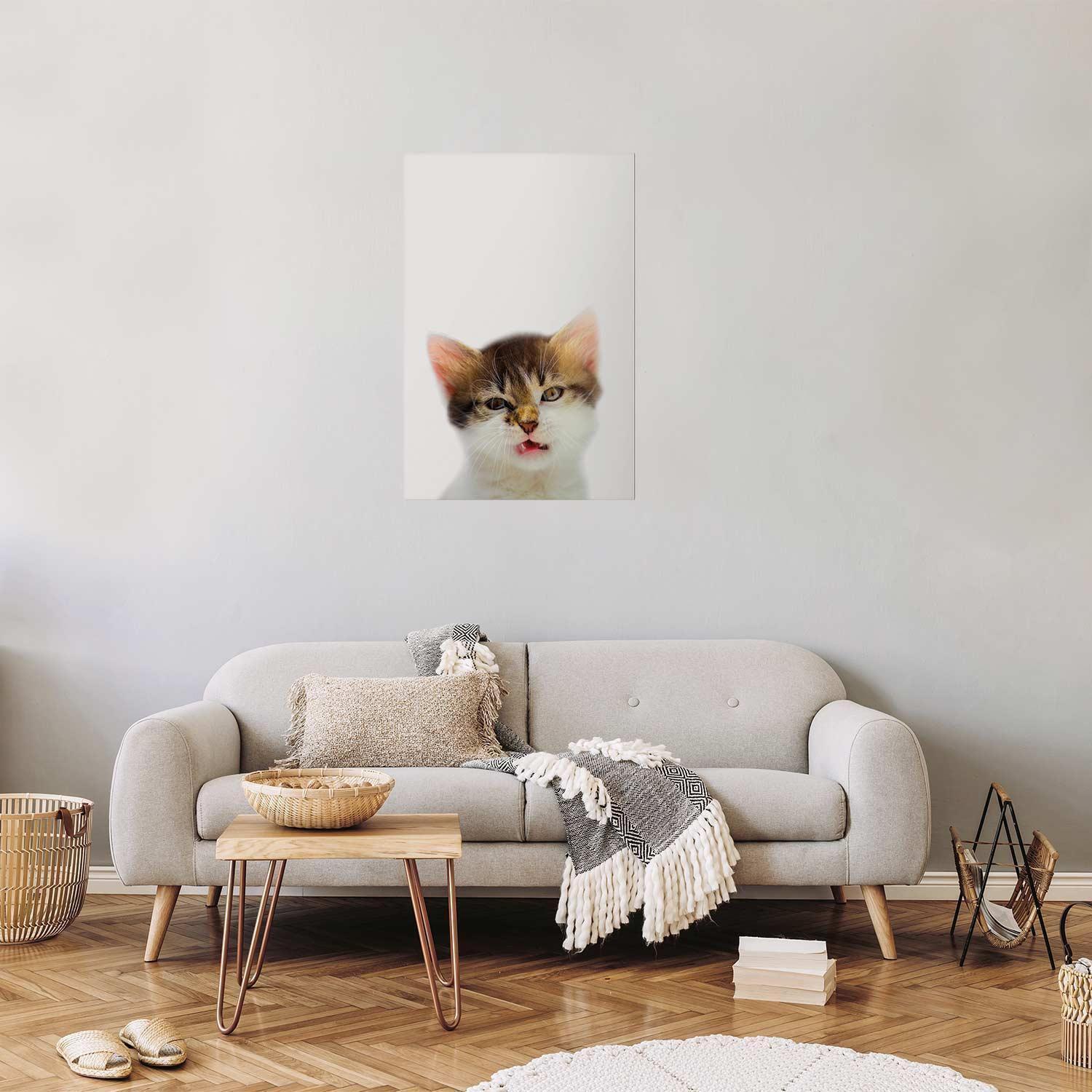 Poster - Annoyed Cat