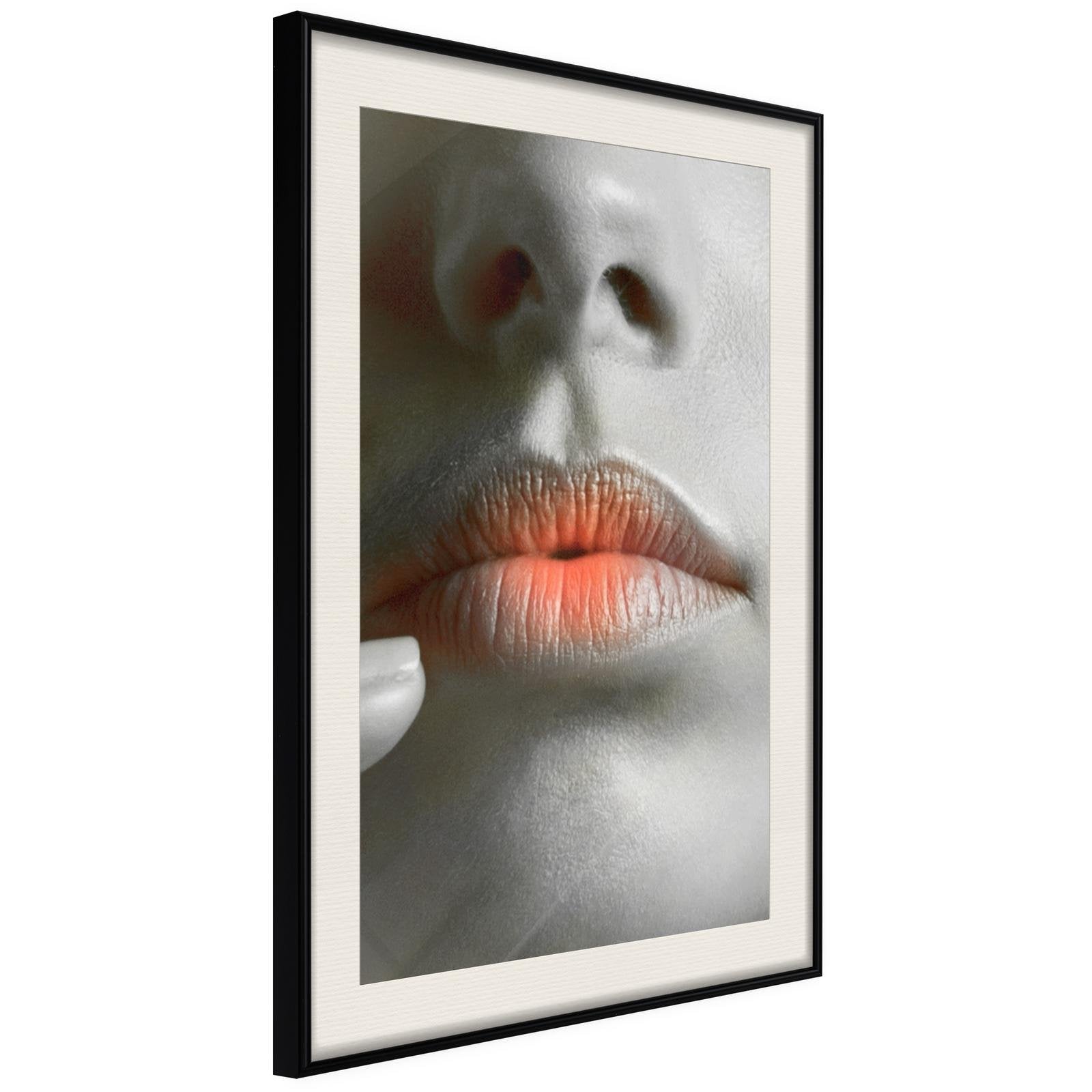 Poster Lèvres Ombrées