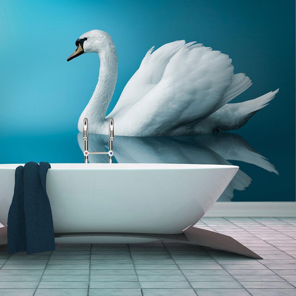 Papier peint - swan - reflection