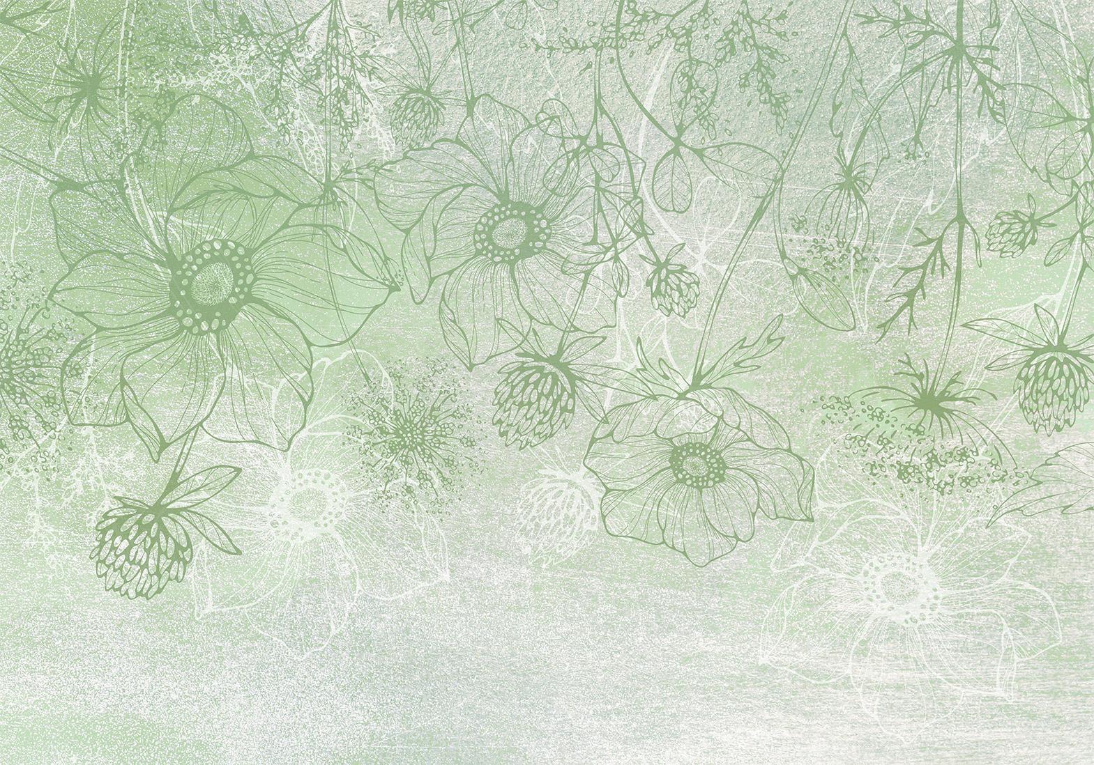 Papier peint - Flowery meadow - nature with field flowers lineart on green background