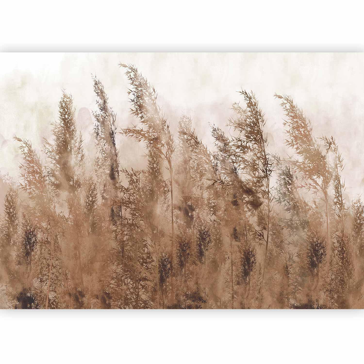 Papier peint - Tall Grasses - Brown