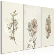 Tableau - Herbarium (3 Parts)