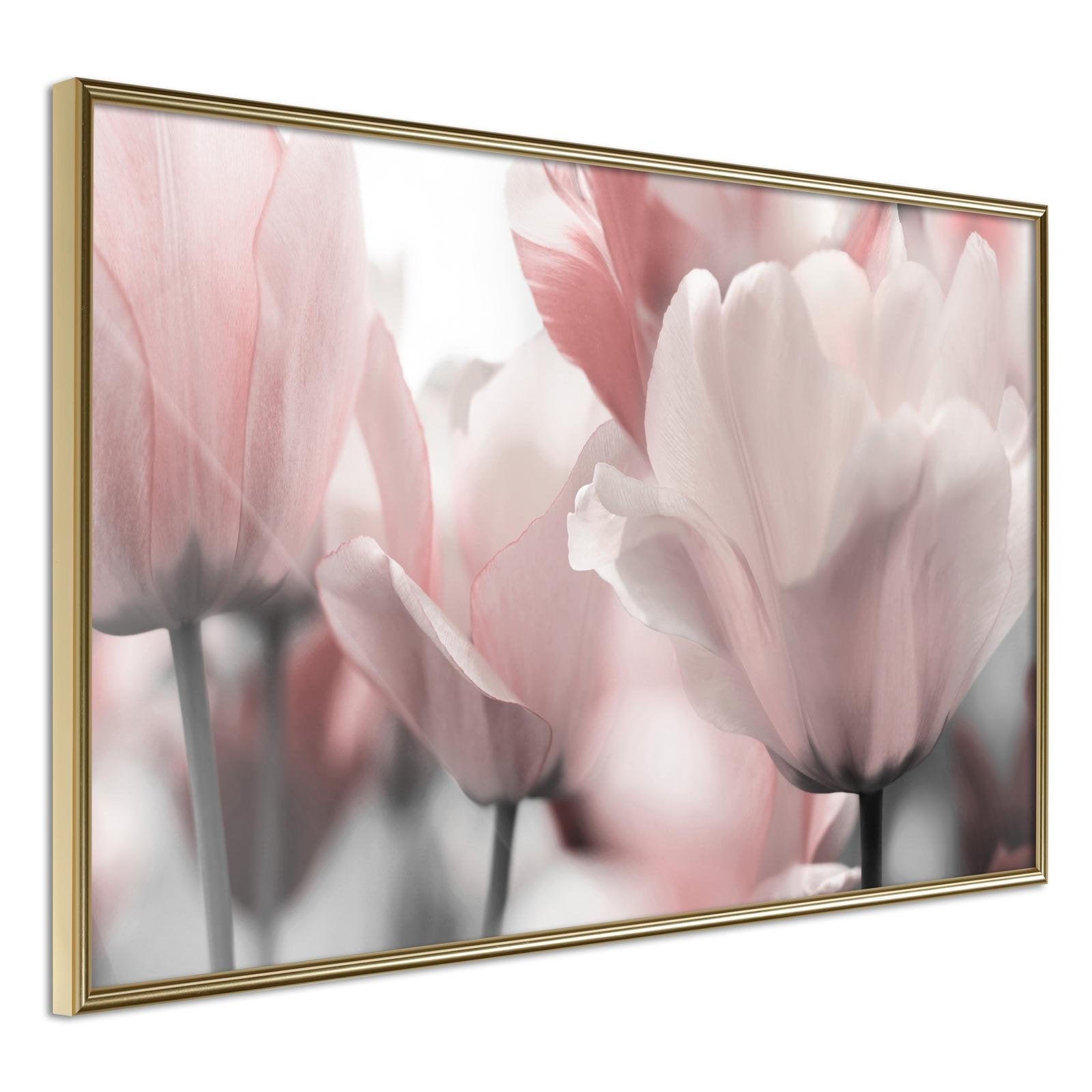 Affiche Tulipes Pastel II