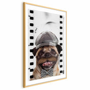 Poster - Pug in a Hat
