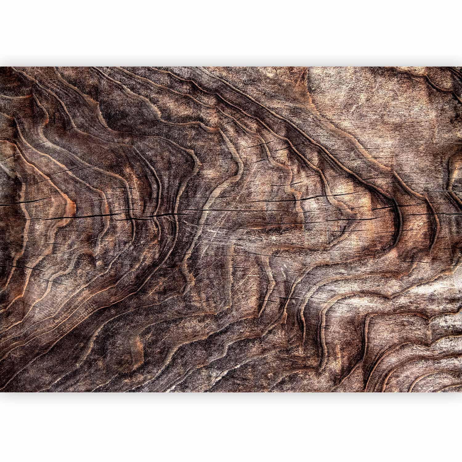 Papier peint - Signs of the times - an abstract background with the wrinkled bark of an old tree