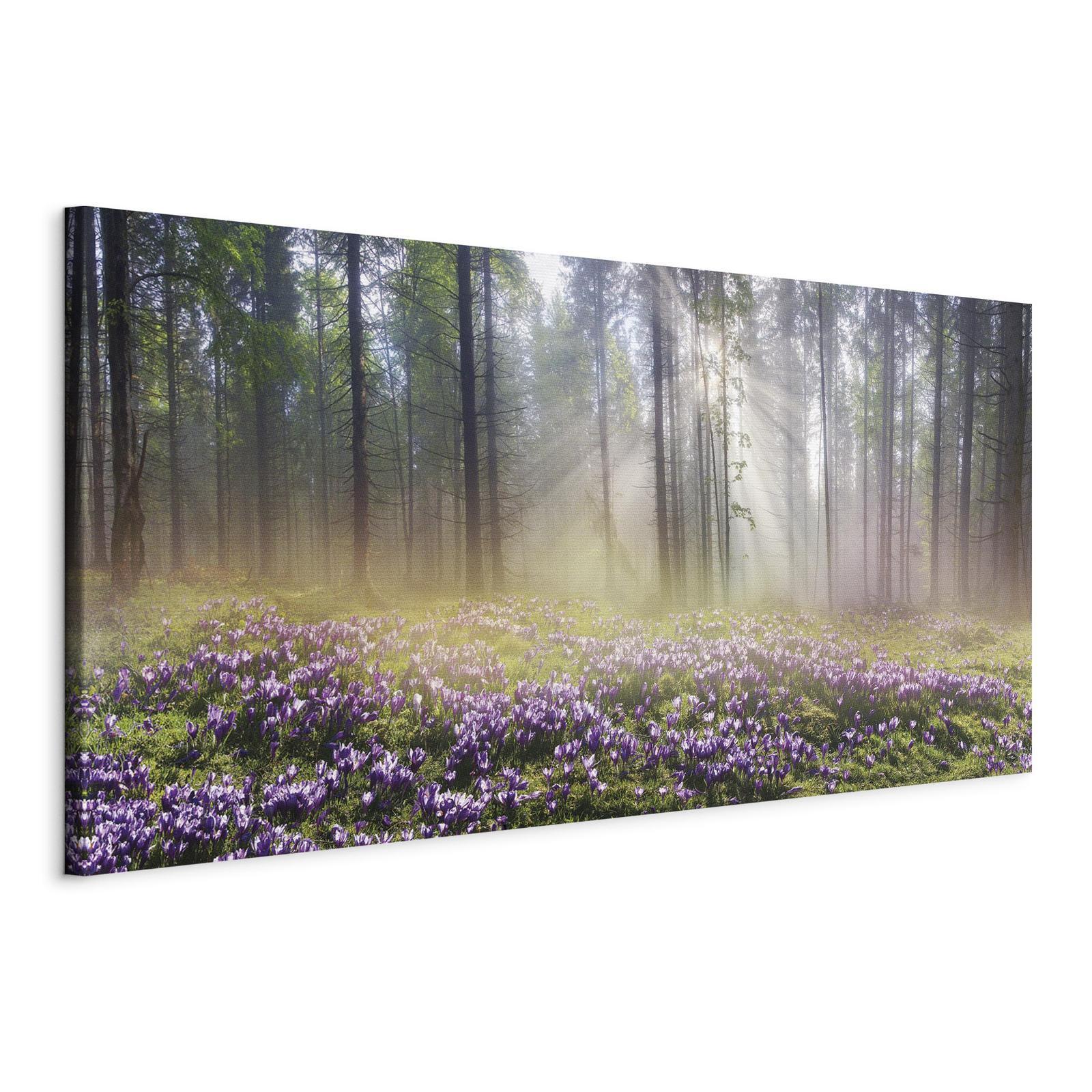 Tableau - Purple Meadow (1 Part) Wide