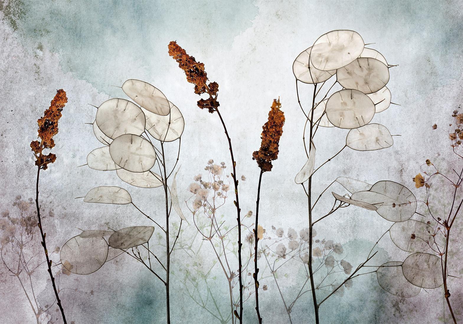 Papier peint - Lunaria in the Meadow