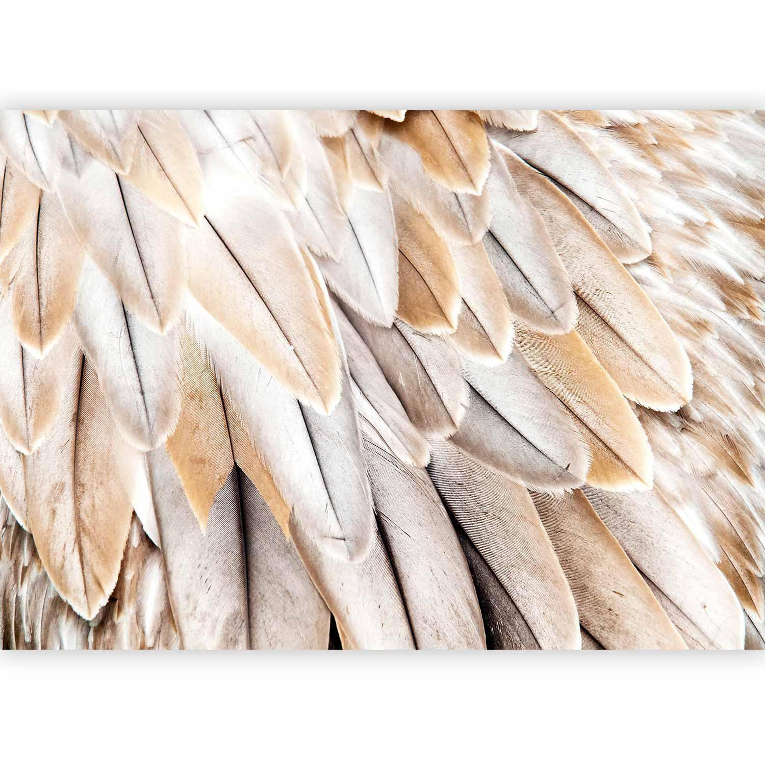 Papier peint - Close-up of bird's wings - uniform close-up on beige bird feathers