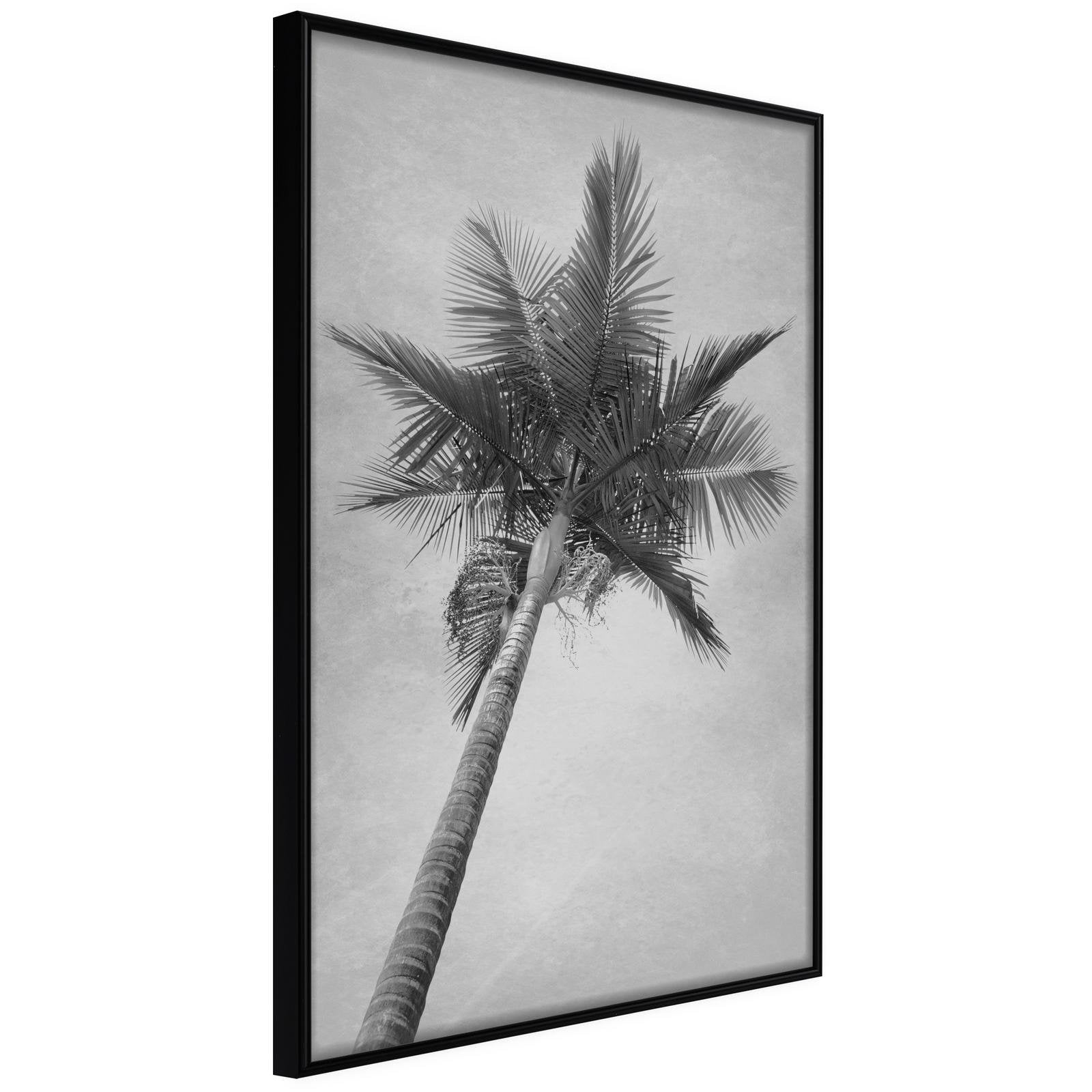 Poster palmier noir et blanc