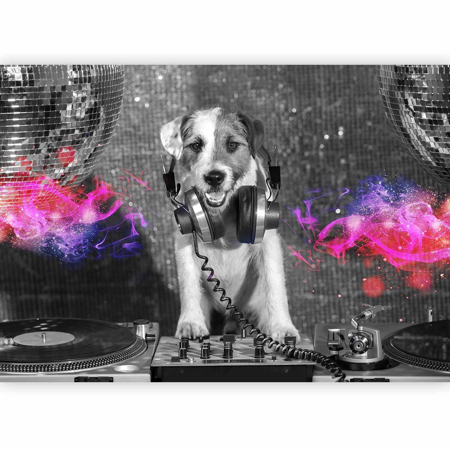 Papier peint - DJ Dog