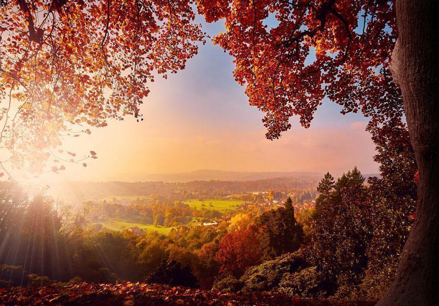 Papier peint - Autumn delight - sunny landscape with countryside surrounded by trees and fields