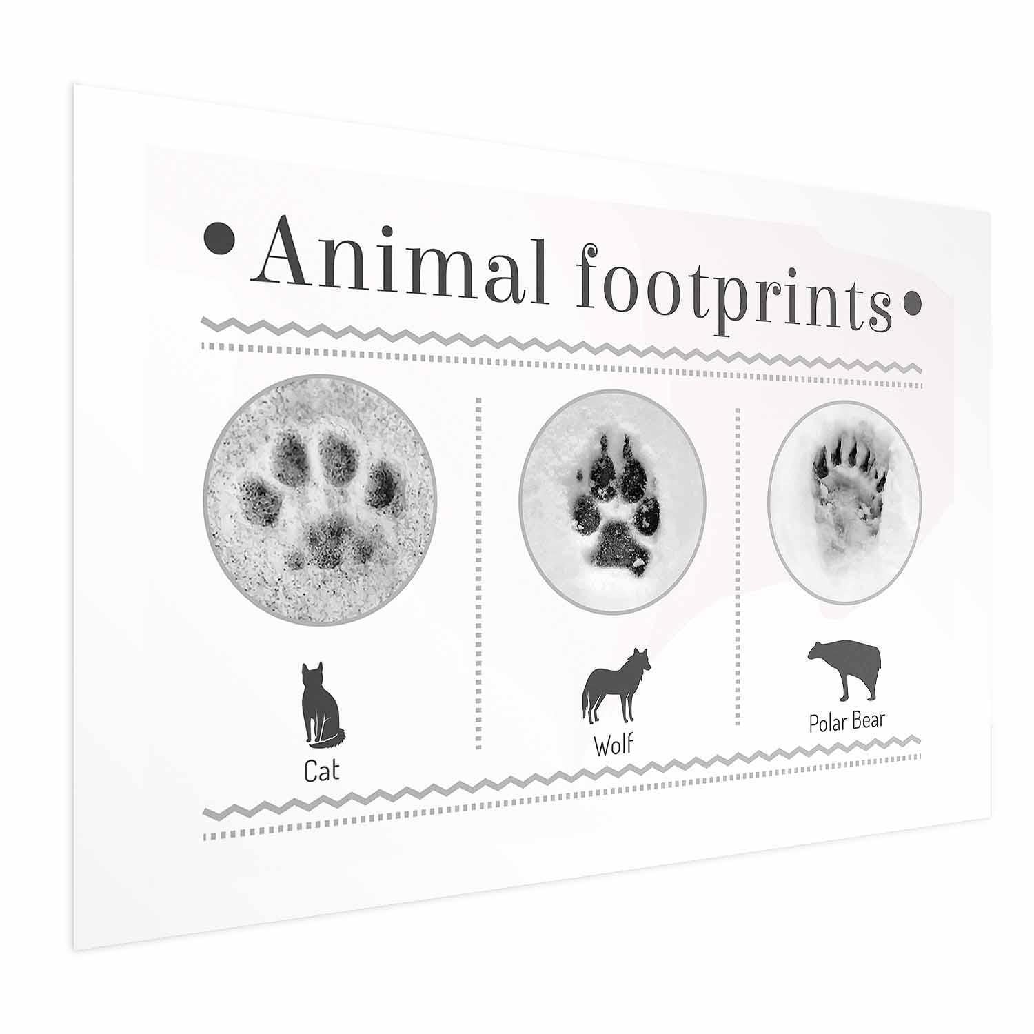 Poster - Paw Prints