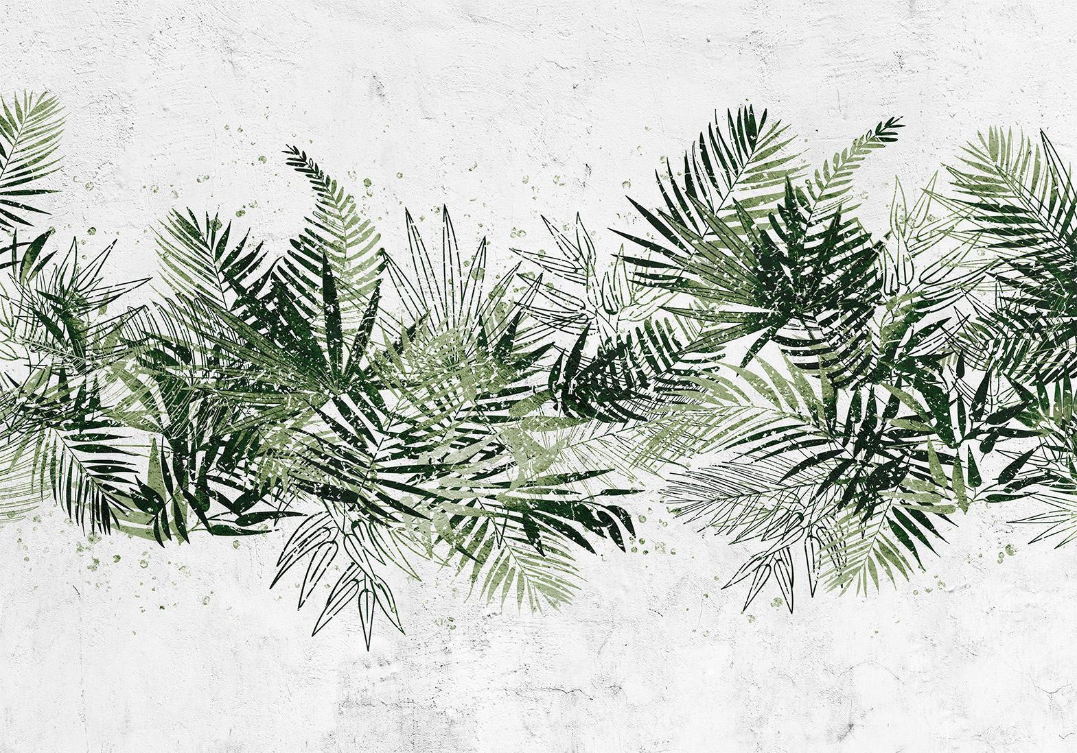 Papier peint - Jungle and green plume - large tropical leaves on a white background