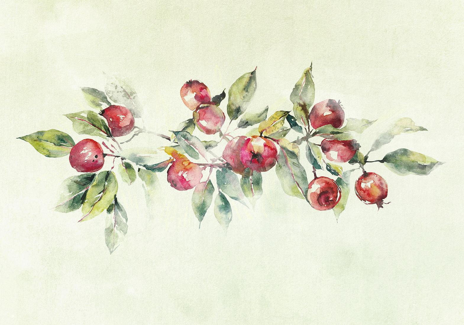 Papier peint - Apple branch - delicate landscape with a plant and apples on a white background