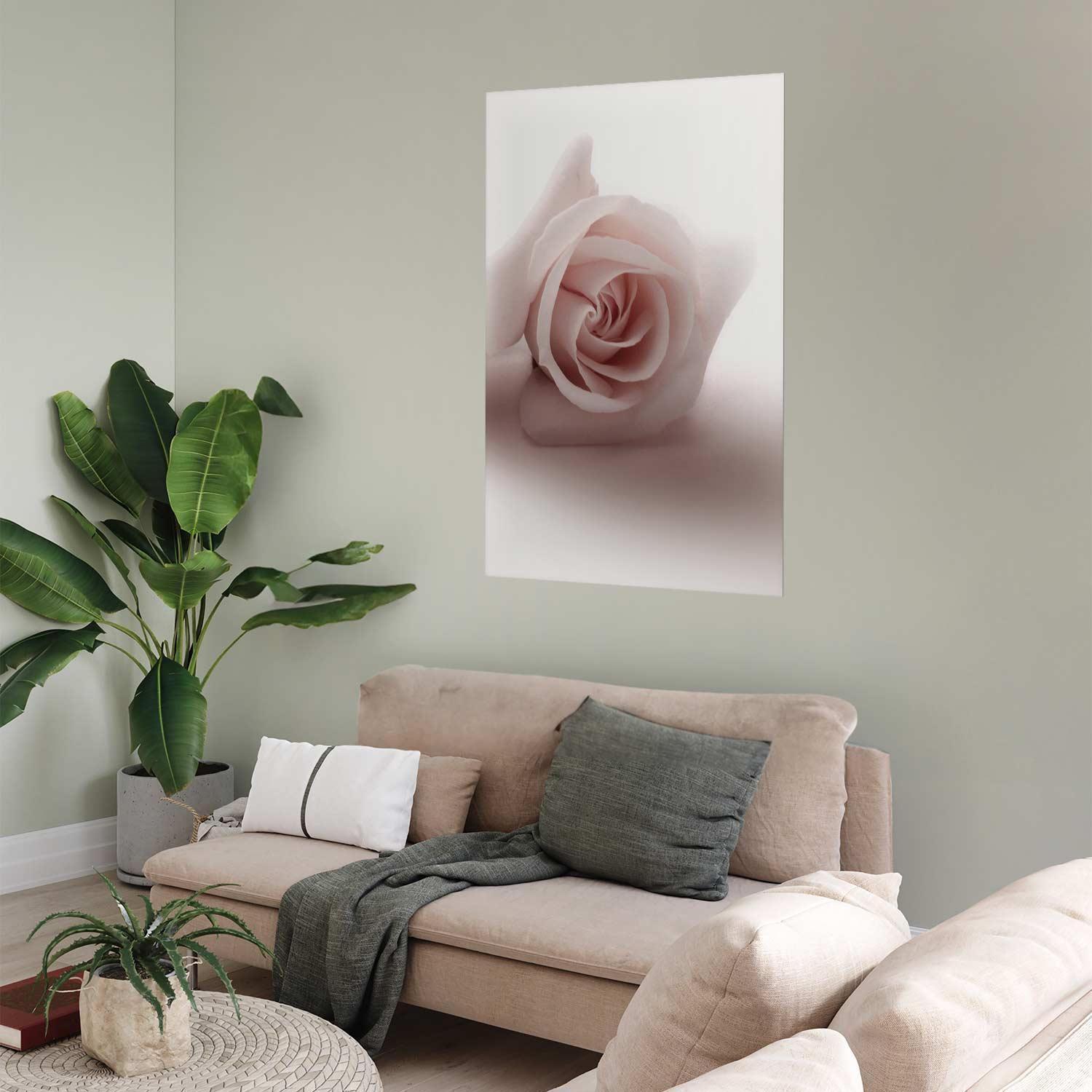 Poster - Rose Shadow