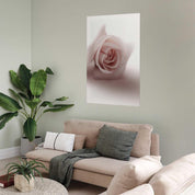 Poster - Rose Shadow